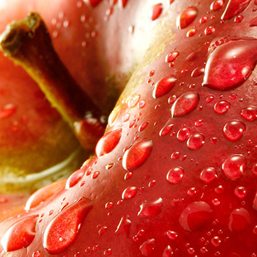 5 Dietista Nutricionista Donostia